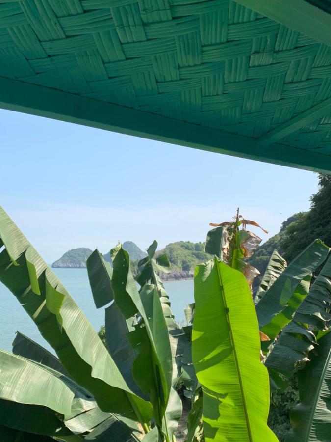 Ocean Beach Resort Cat Ba Island ภายนอก รูปภาพ
